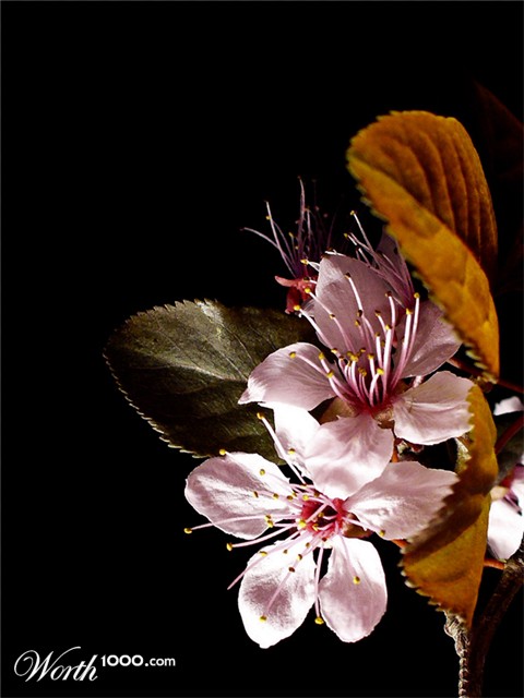 Photography by IsleofJura