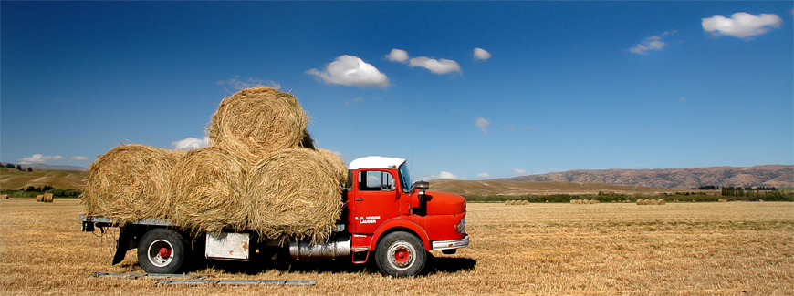 Photography by shazamataz for DesignCrowd (Community Contests) | Design #9018354