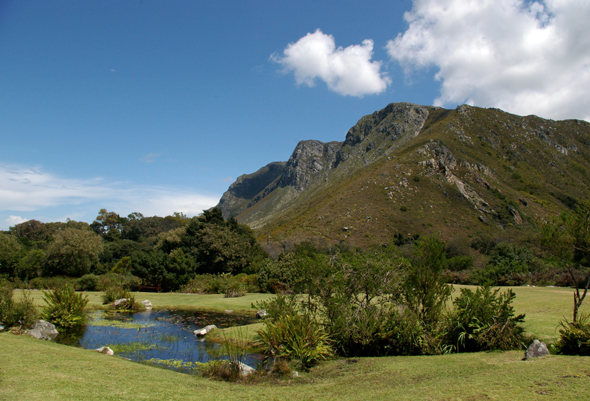 Photography by splong for DesignCrowd (Community Contests) | Design #9018359