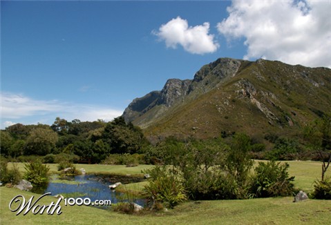 Photography by splong