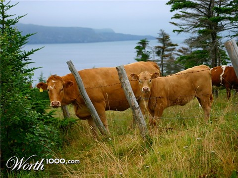 Photography by KarenC