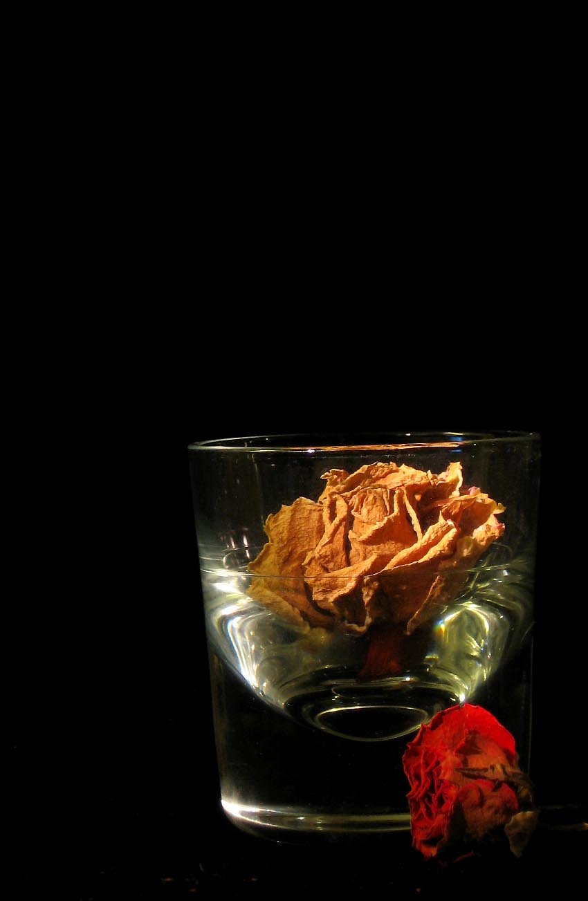 Photographie par poisonyvy pour DesignCrowd (Community Contests) | Design #9020785