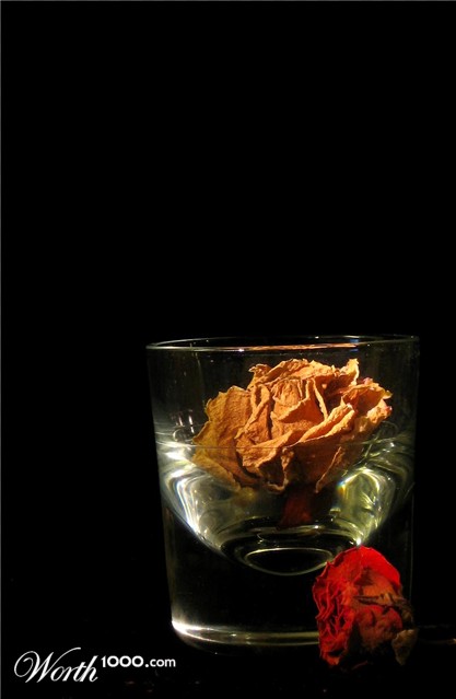 Photography by poisonyvy