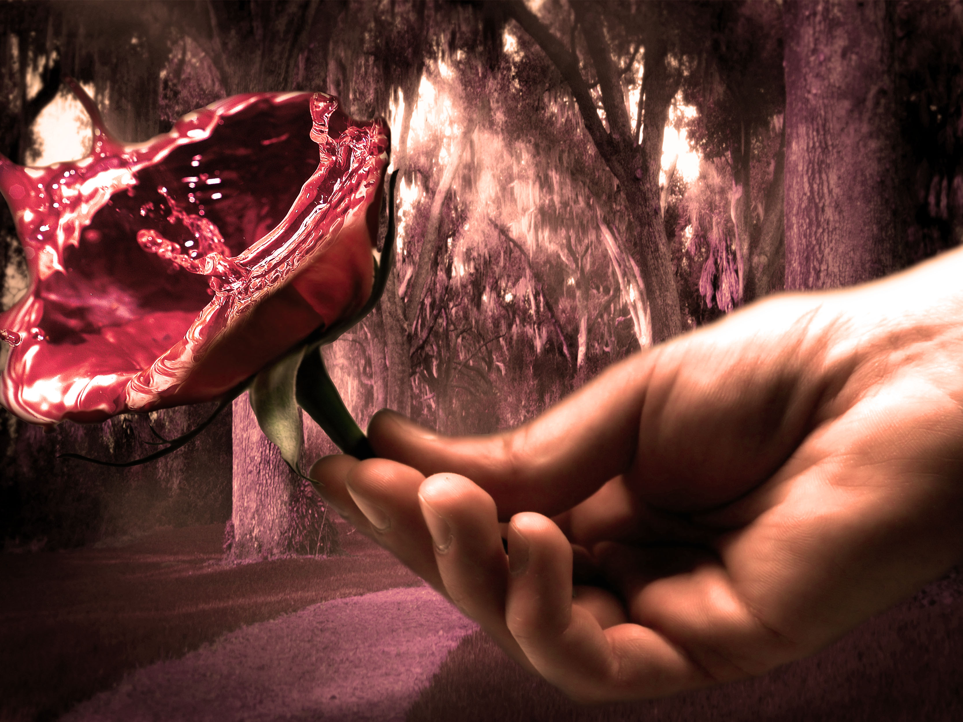 Photoshop Design by wward6 for DesignCrowd (Community Contests) | Design #9014354