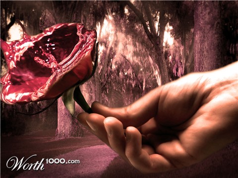 Photoshop Design by wward6