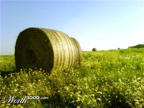 Photography by controlfreak
