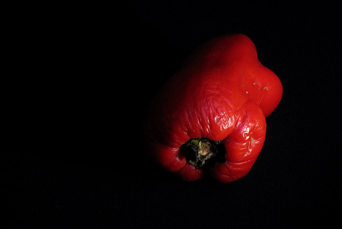 Photography by darkxnine for DesignCrowd (Community Contests) | Design #9020769