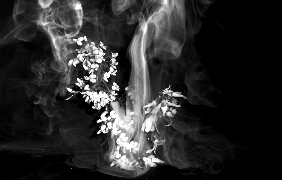 Photography by brick365 for DesignCrowd (Community Contests) | Design #9016667