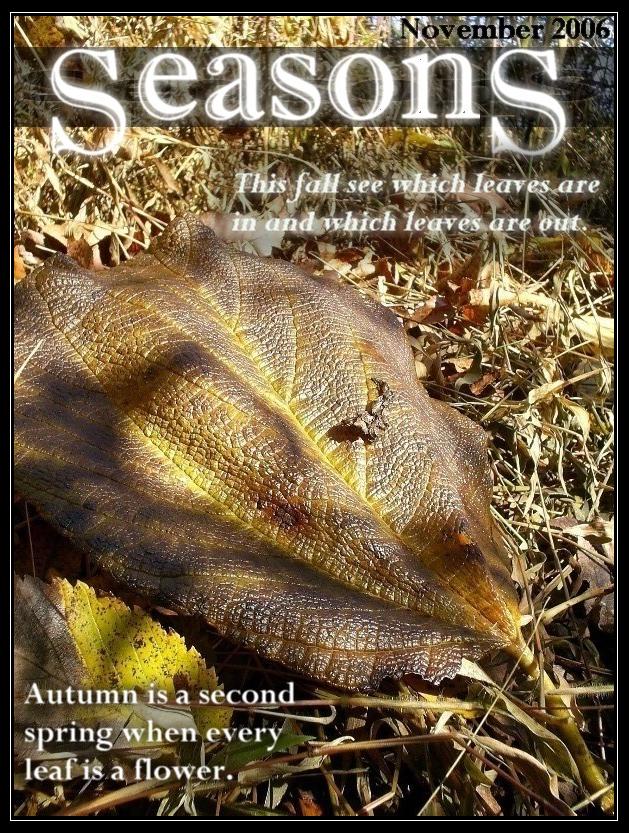 Photography by liberty2007crusader for DesignCrowd (Community Contests) | Design #9017423