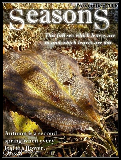 Photography by liberty2007crusader