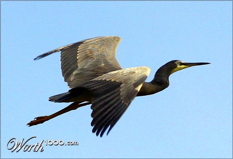 Photography by Budmulla