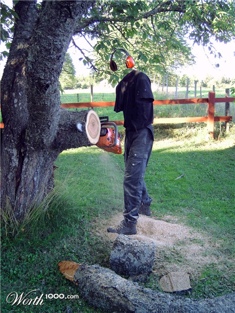 Photoshop Design by stevebrtr