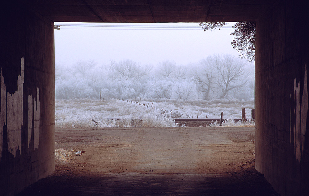 Photography by cshutt for DesignCrowd (Community Contests) | Design #9013434