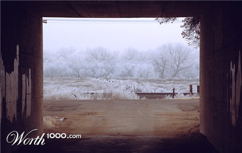 Photography by cshutt