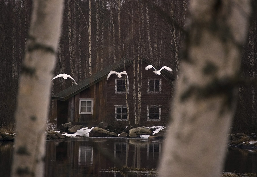 Photography by Reconban for DesignCrowd (Community Contests) | Design #9018349