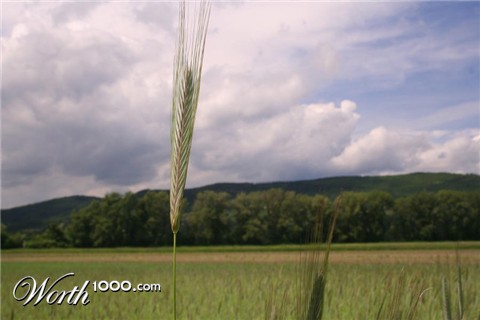 Photography by ak0971