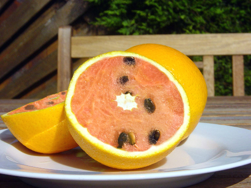 Photoshop-Design von Gypzee für DesignCrowd (Community Contests) | Design #9016021