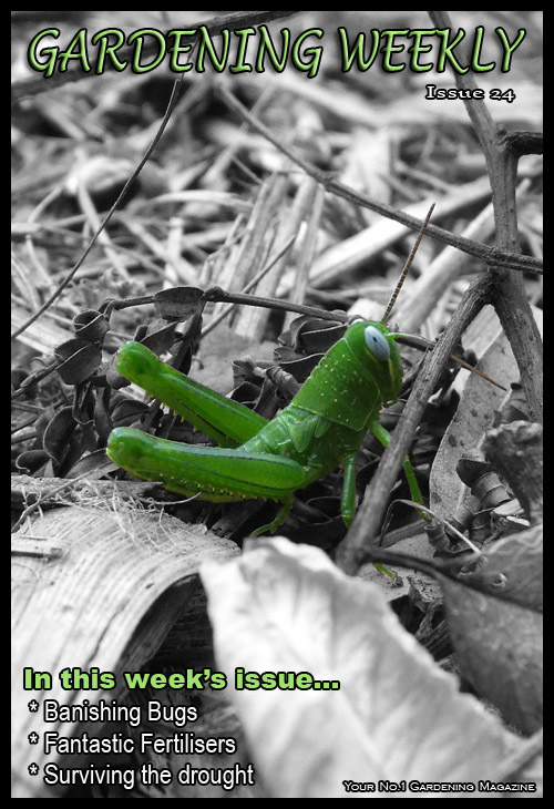 Photography by Ruberduck for DesignCrowd (Community Contests) | Design #9017437