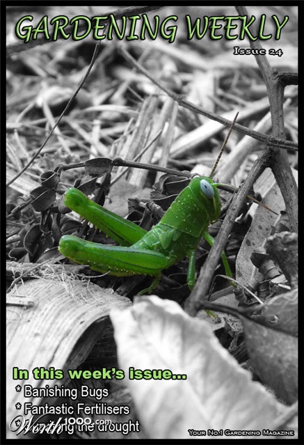 Photography design by Ruberduck for DesignCrowd (Community Contests)