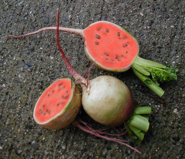 Photoshop Design by Naeuio for DesignCrowd (Community Contests) | Design #9016144