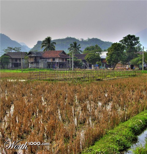Photography by chatwin68