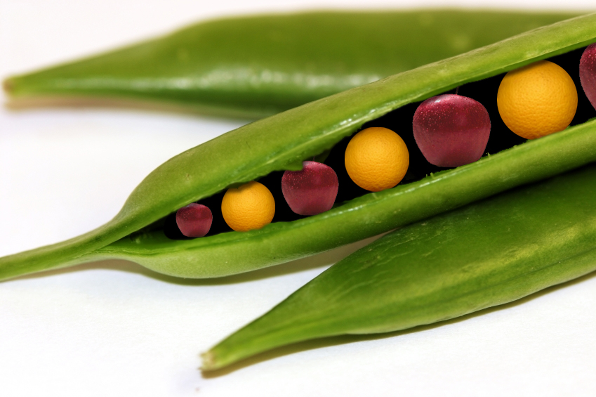 Photoshop-Design von BudgieBrain für DesignCrowd (Community Contests) | Design #9016146