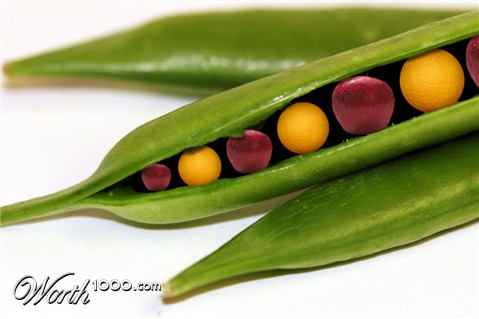 Photoshop Design by BudgieBrain