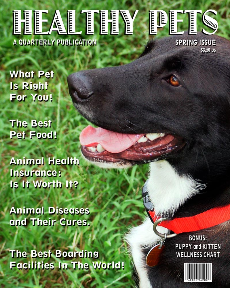 Photography by scarpino36109 for DesignCrowd (Community Contests) | Design #9017441