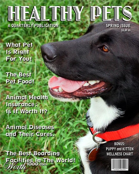 Photography by scarpino36109