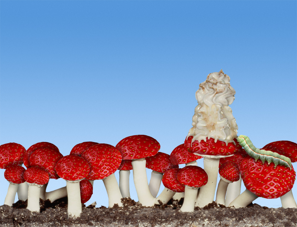 Photoshop Design by moxo71 for DesignCrowd (Community Contests) | Design #9016228