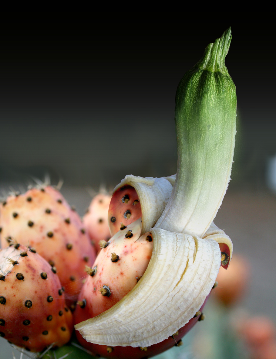 Photoshop Design by paraloid for DesignCrowd (Community Contests) | Design #9016194