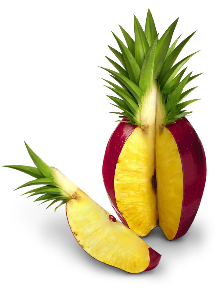 Photoshop Design by vertigopolka for DesignCrowd (Community Contests) | Design #9016189