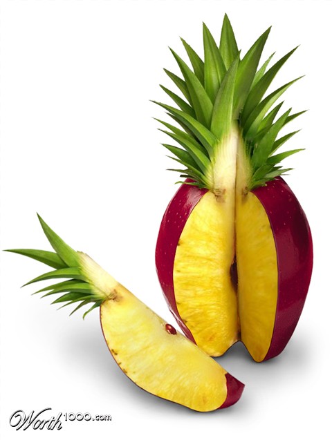 Photoshop Design by vertigopolka