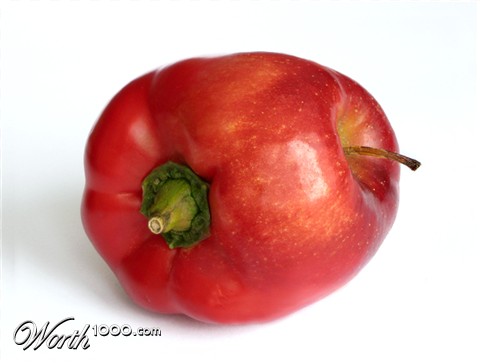 Photoshop Design by Koosricardo