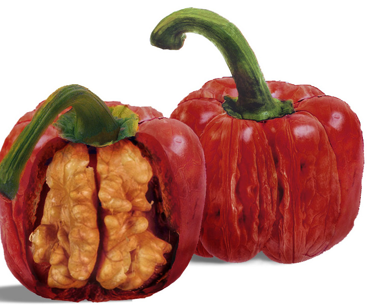 Photoshop-Design von philiater1 für DesignCrowd (Community Contests) | Design #9016258