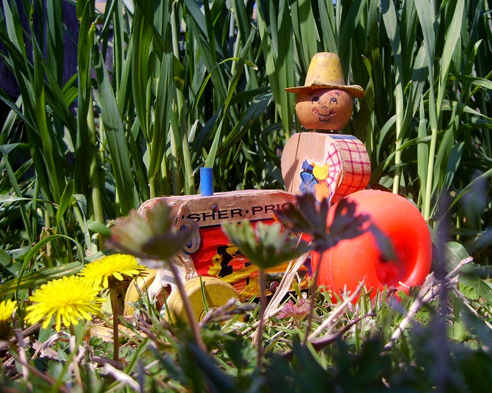 Photography by scarpino36109 for DesignCrowd (Community Contests) | Design #9013170