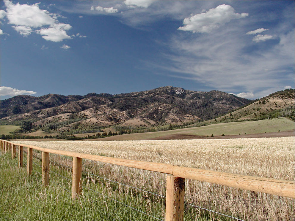 Photography by cakeladybarb for DesignCrowd (Community Contests) | Design #9018431