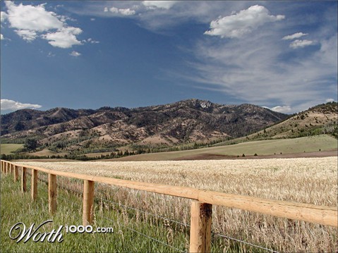 Photography by cakeladybarb