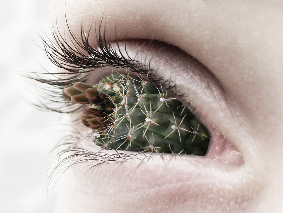 Diseño de Photoshop por TransmissionDump para DesignCrowd (Community Contests) | Diseño #9014761