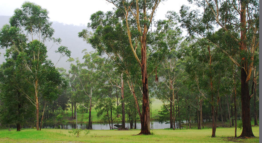 Fotografía por gymp93 para DesignCrowd (Community Contests) | Diseño #9018446