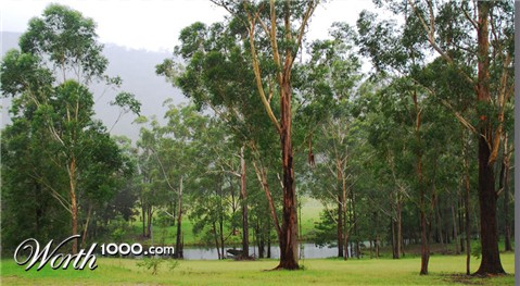 Photography by gymp93