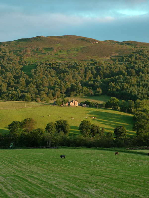 Photography by tincanblower for DesignCrowd (Community Contests) | Design #9018413