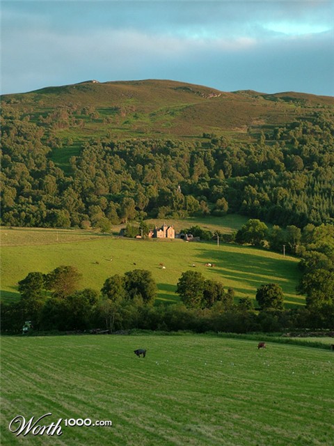 Photography by tincanblower