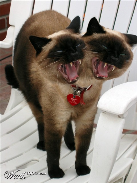 Photoshop Design by Gezzunder