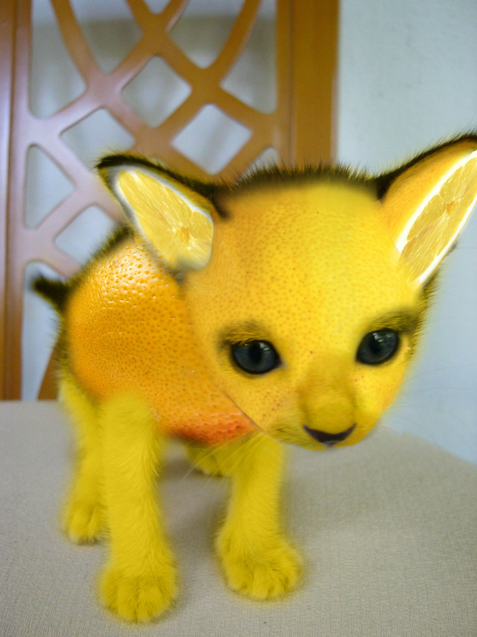 Photoshop-Design von buckyohare für DesignCrowd (Community Contests) | Design #9014779