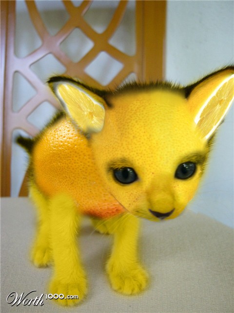 Photoshop Design by buckyohare