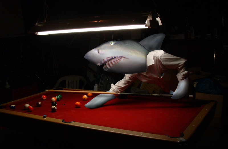 Photoshop Design by Sassydeb for DesignCrowd (Community Contests) | Design #9014876