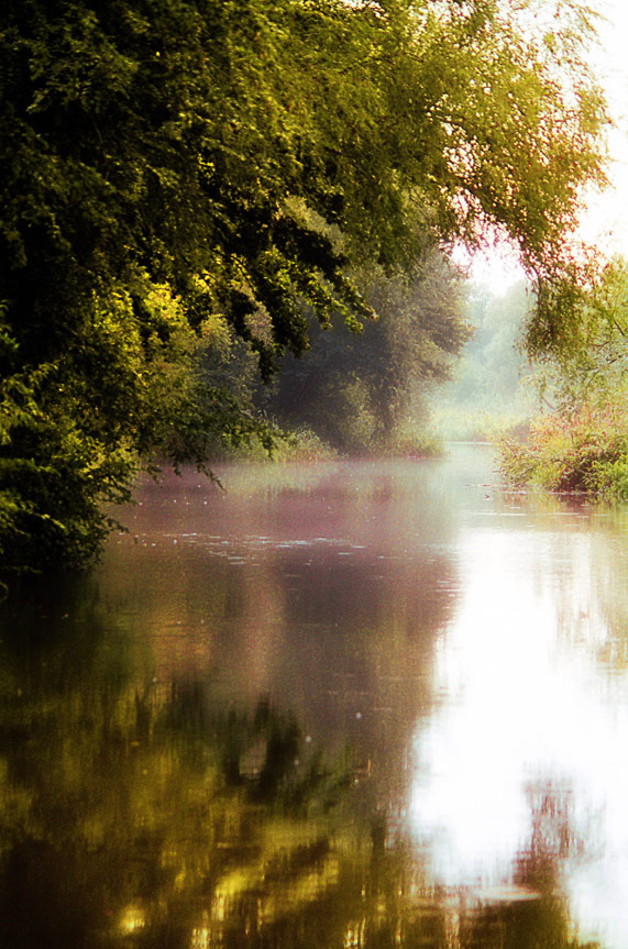 Photography by Marian for DesignCrowd (Community Contests) | Design #9018411