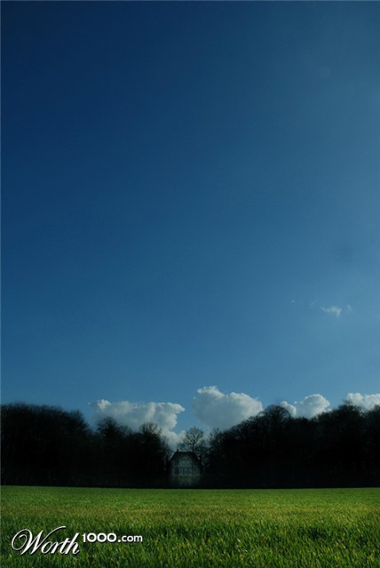 Photography by shluhzor