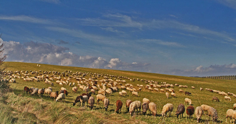 Fotografía por torkio para DesignCrowd (Community Contests) | Diseño #9018469